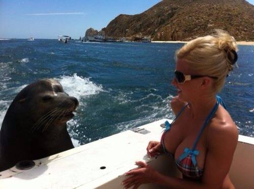 Hey so you come around here often?
