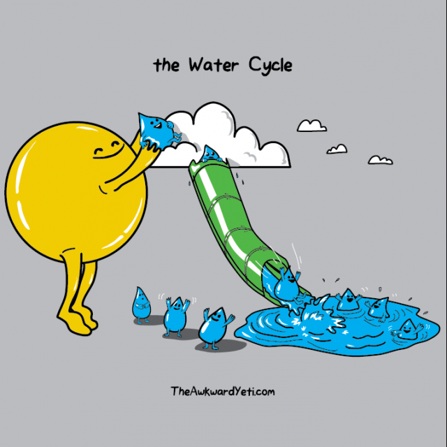 The Water Cycle-Simplified!