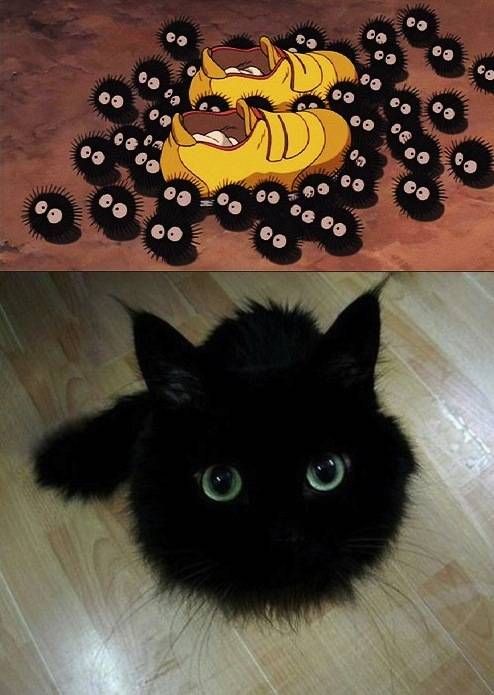 They are real