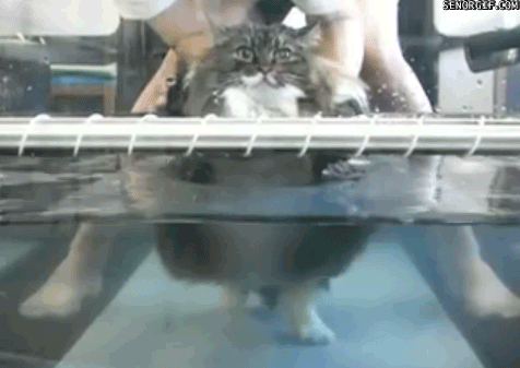 Leg Day