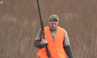 still one of my favorite gifs of all time.