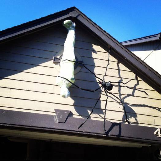 Came home and my dad put this up. O_o