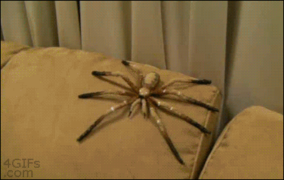how divorces will start this halloween