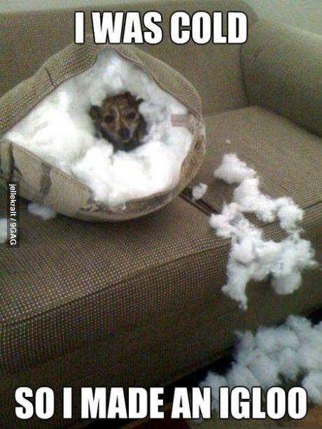 I was cold