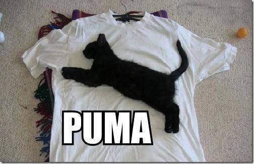 Awesome PUMA shirt