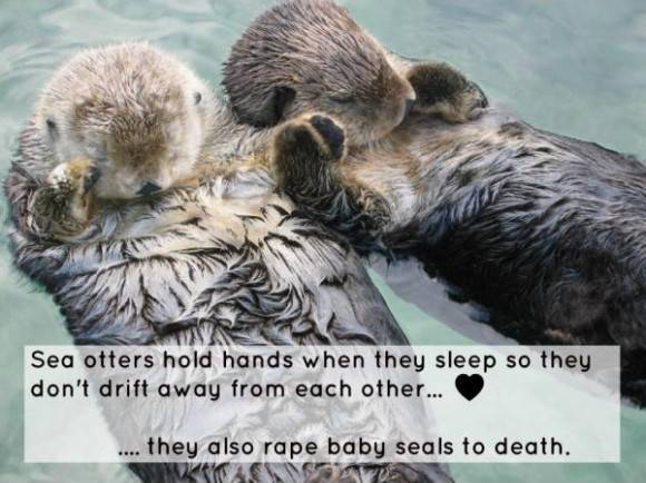 So cute