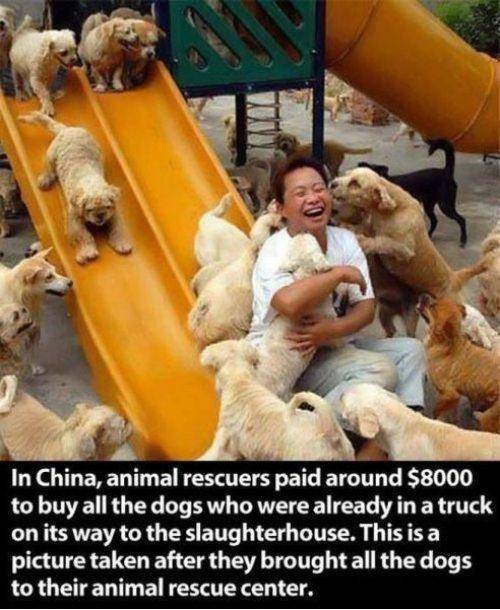This picture makes me so happy