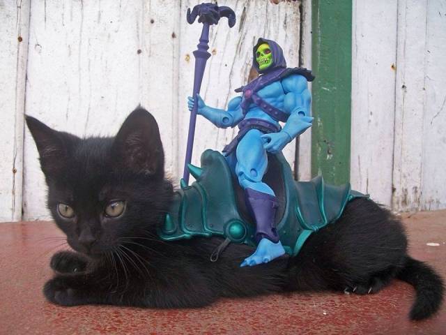 PANTHOR!