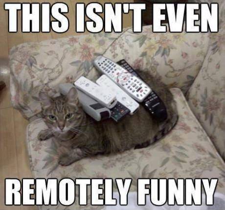 Not even slightly.