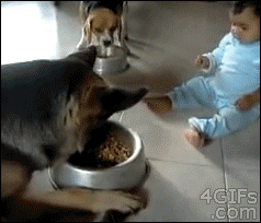 When my gf wants me to share food with her.