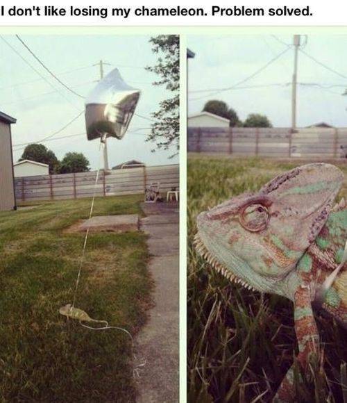 problem solved