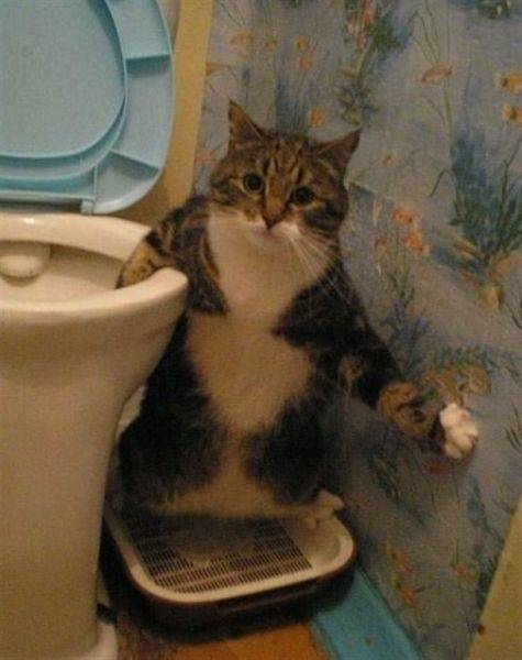 Nothing to see here