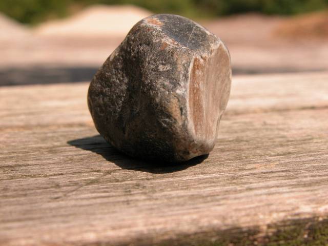 My pet ant, Hans, balancing a rock on his head