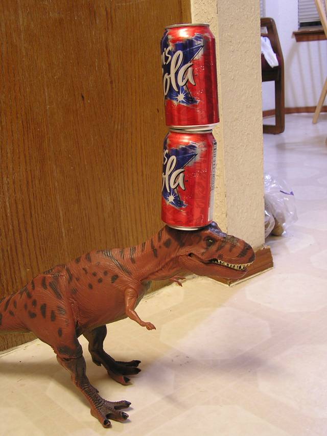 My pet lizard, Susie, balancing two soda cans on her head.