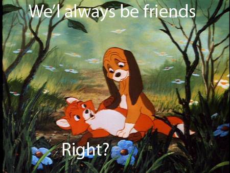 Cried during the Lion King? You don't know true pain