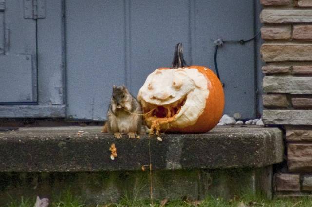 Caught orange handed