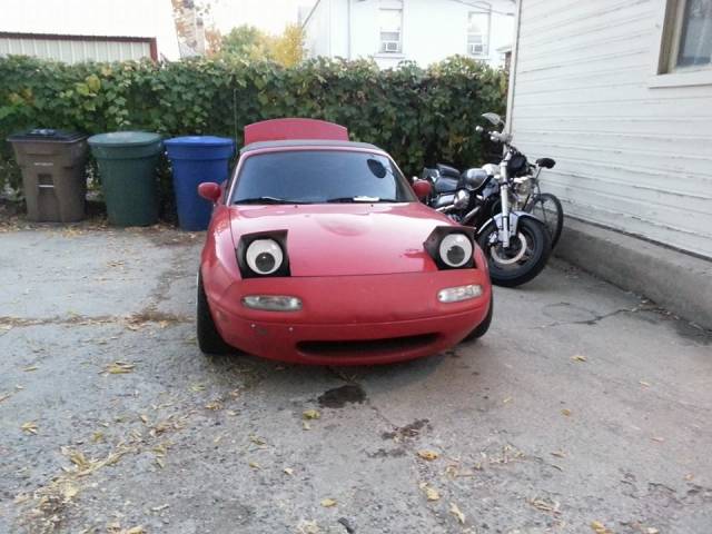 Giant googley eyes. The best drunk online purchase I have made yet.