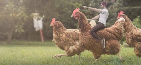 I was bored. My parent have chickens. I apologise for nothing.