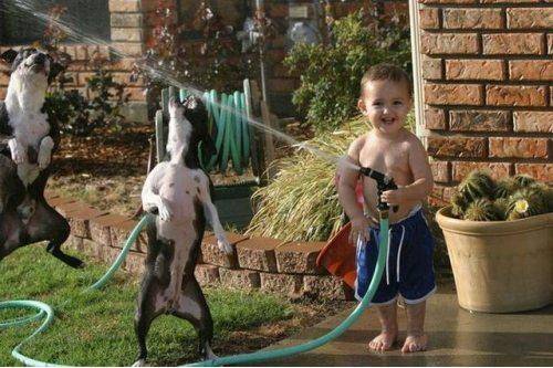 My buddy's son having fun with his hose