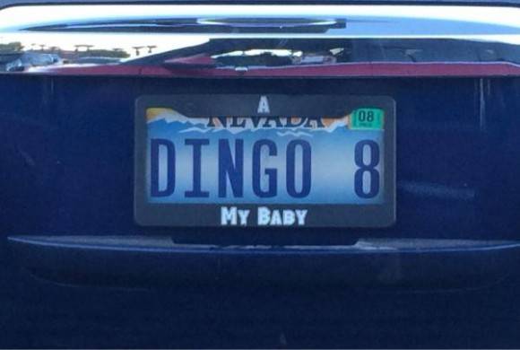 This is officially my new favorite license plate and holder combination.