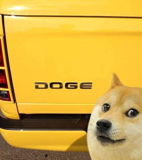 Such Car, So Fas