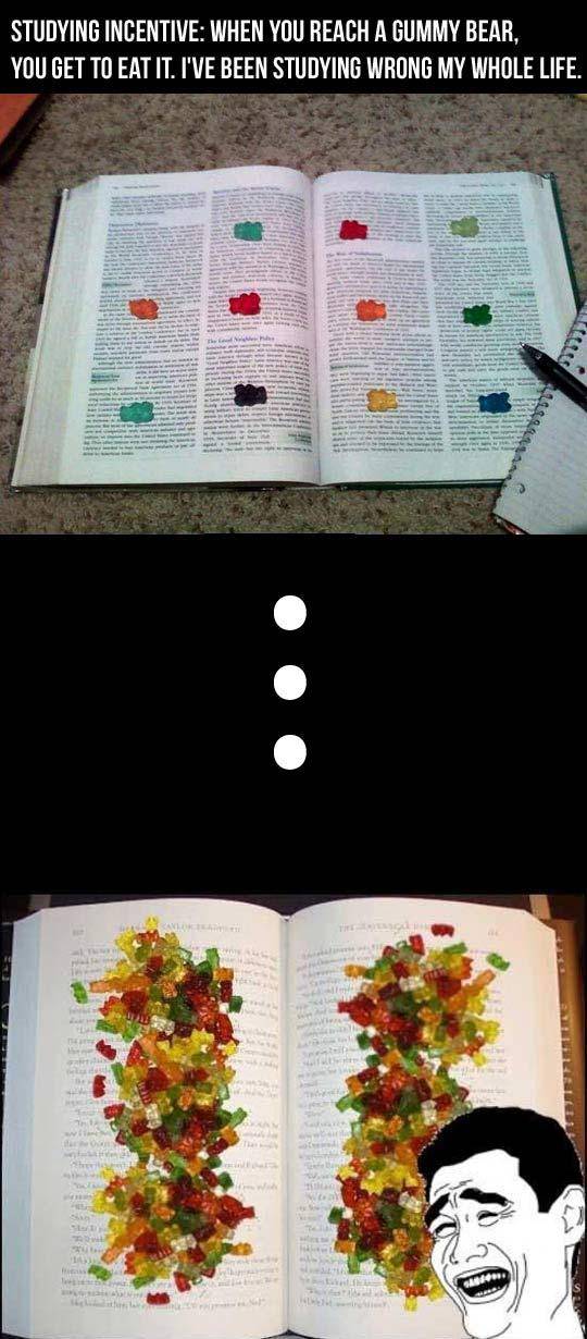 Studying as a college student