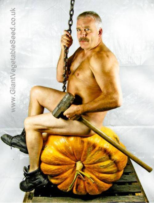 My friend’s dad grows giant pumpkins. He just posted this on his facebook.