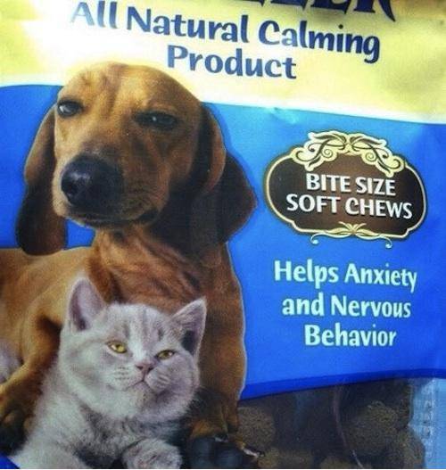 I’ll pay our dealer tomorrow, IAMS good for it.