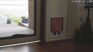 Oh. There's the door I was looking for.