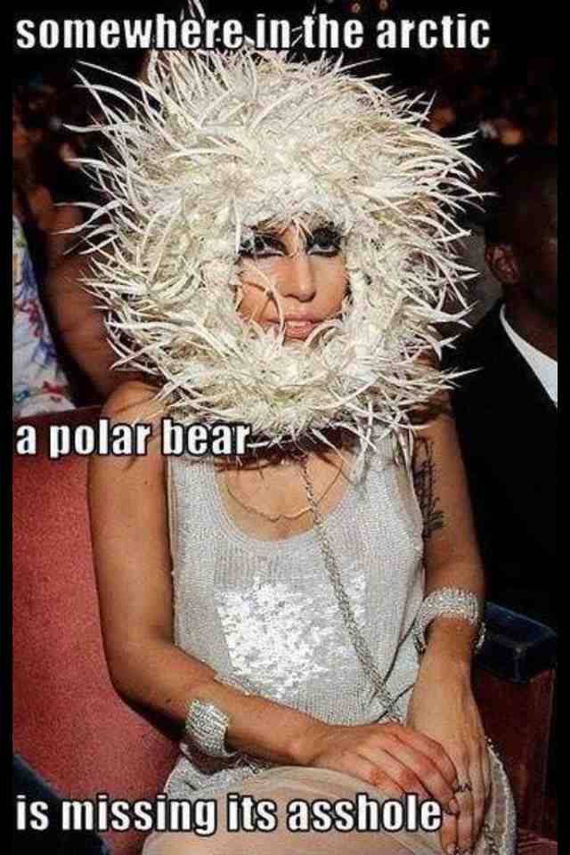 somewhere in the arctic...
