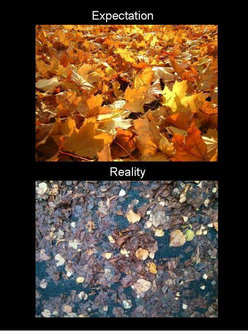 Fall is disappointing.