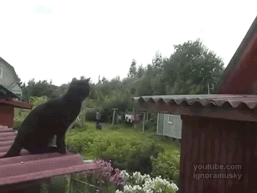 Okay. I got this.