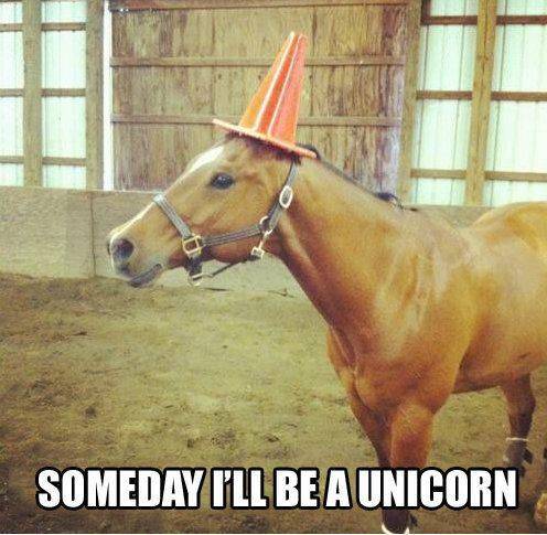 You just have to believe!