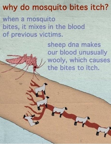 Well, that explains it.