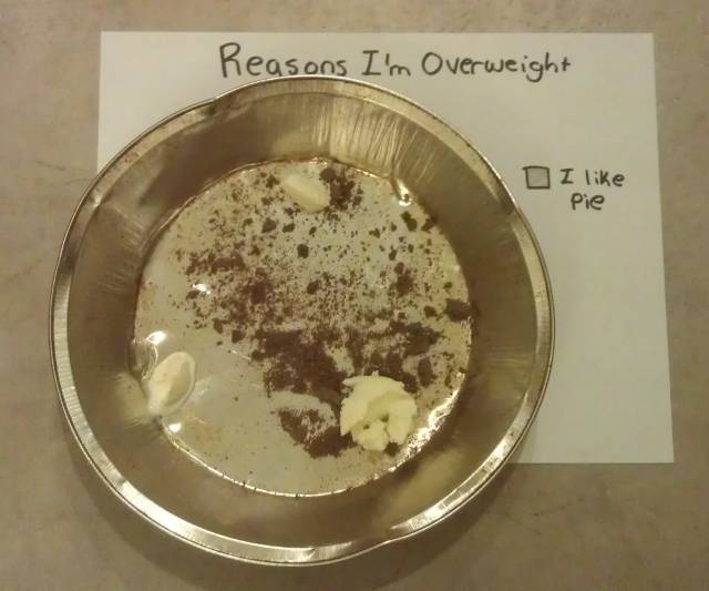 Most accurate pie chart