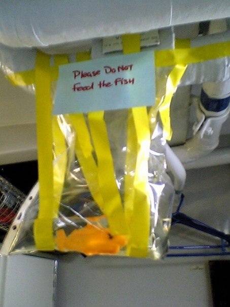 How to draw attention to leaking pipes people will not fix
