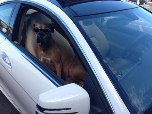 CVS parking lot. Hip-hop blaring. No driver in sight.