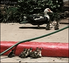 Adorable mob pathfinding