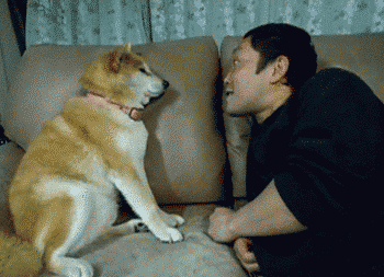 annoying humans
