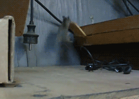 Must. Take. The whole. Loot.