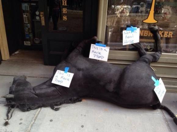 Don’t mind this dead horse.