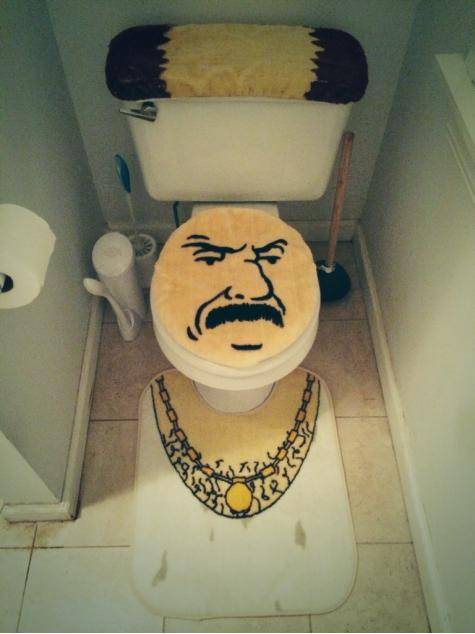So this is our house's new toilet seat set...