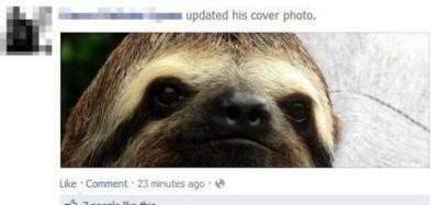 12 totally idiotic posts on the internet