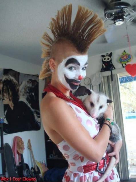 Insane clown possum