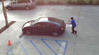 Idiots fighting things.  f*ck you, car!