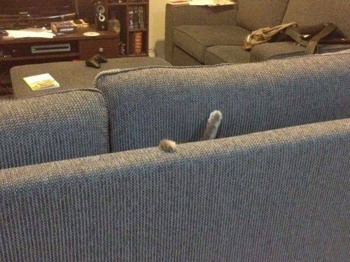 Avenge me!!!!