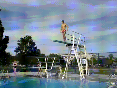 The most graceful dive.