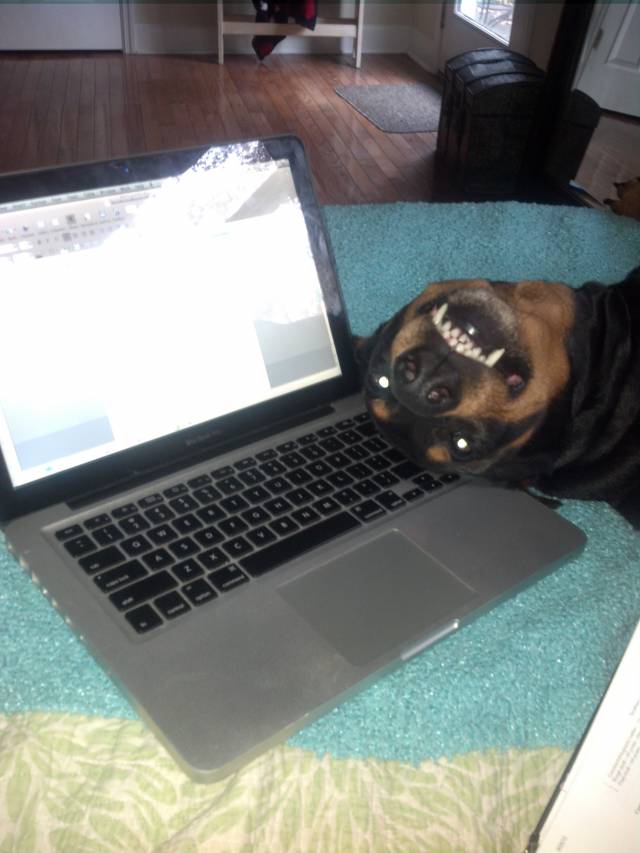Watcha workin on?