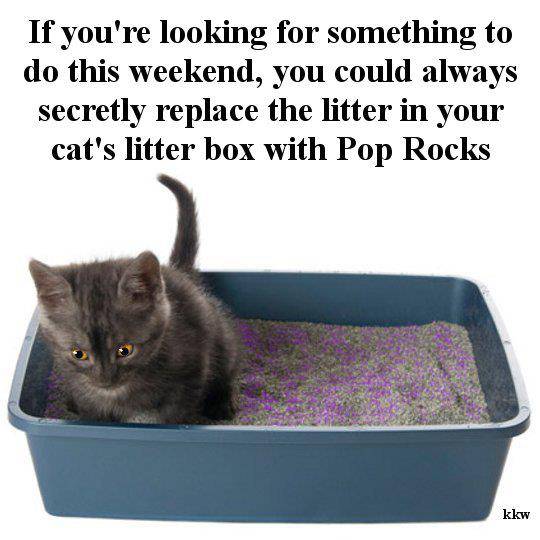 Something to do if you're bored.