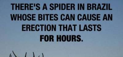 19 weird facts that will stump you
